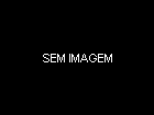 Caiu na Net Video Caseiro de Escuna de Swing Versus Menáge Saindo de Salvador – BA